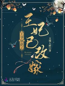  王爷别虐了，王妃已改嫁