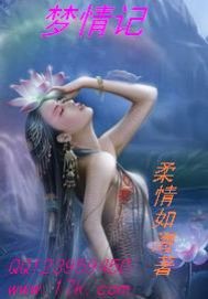  梦情记